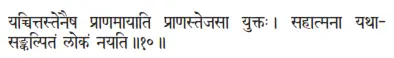 yaccittastenaiṣa prāṇamāyāti prāṇastejasā yuktaḥ ǀ sahātmanā yathā - фото 275