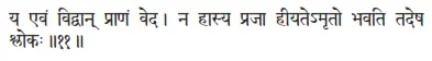 ya evaṁ vidvān prāṇaṁ veda ǀ na hāsya prajā hīyatemṛto bhavati tadeṣa ślokaḥ - фото 276