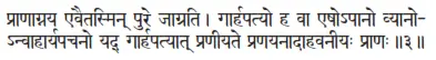 prāṇāgnaya evaitasmin pure jāgrati ǀ gārhapatyo ha vā eṣopāno vyāno - фото 280