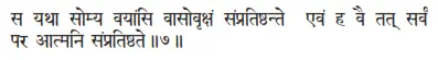 sa yathā somya vayāṅsi vāsovṛkṣaṁ saṁpratiṣṭhante evaṁ ha vai tat sarvaṁ - фото 284