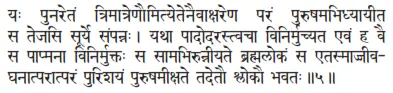 yaḥ punaretaṁ trimātreṇaumityetenaivākṣareṇa paraṁ puruṣamabhidhyāyīta sa - фото 293