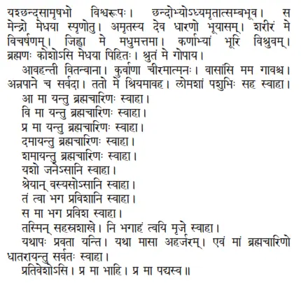 yaśchandasāmṛṣabho viśvarūpaḥ ǀ chandobhyodhyamṛtātsambabhūva ǀ sa mendro - фото 307