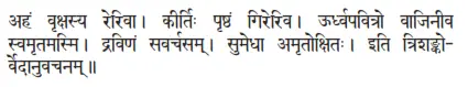 ahaṁ vṛkṣasya rerivā ǀ kīrtiḥ pṛṣṭhaṁ gireriva ǀ ūrdhvapavitro vājinīva - фото 314