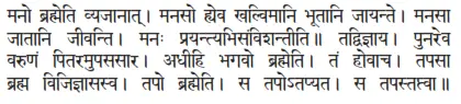 mano brahmeti vyajānāt ǀ manaso hyeva khalvimāni bhūtāni jāyante ǀ manasā - фото 331