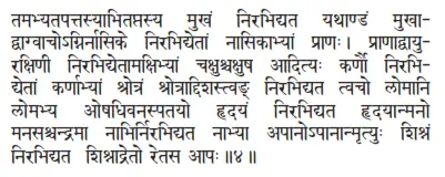 tamabhyatapattasyābhitaptasya mukhaṁ nirabhidyata yathāṇâaṁ mukhā - фото 342