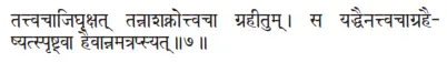 tattvacājighṛkṣat tannāśaknottvacā grahītum ǀ sa yaddhainattvacāgrahai - фото 354