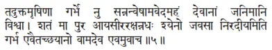taduktamṛṣiṇā garbhe nu sannanveṣāmavedamahaṁ devānāṁ janimāni viśvā ǀ - фото 366