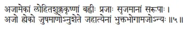ajāmekāṁ lohitaśuklakṛṣṇāṁ bahvīḥ prajāḥ sṛjamānāṁ sarūpāḥ ǀ ajo hyeko - фото 376