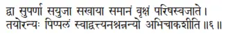 dvā suparṇā sayujā sakhāyā samānaṁ vṛkṣaṁ pariṣasvajāte ǀ tayoranyaḥ pippalaṁ - фото 377