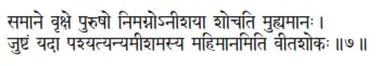 samāne vṛkṣe puruṣo nimagnonīśayā śocati muhyamānaḥ ǀ juṣṭaṁ yadā - фото 378