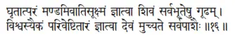 ghṛtātparaṁ maṇâamivātisūkṣmaṁ jñātvā śivaṁ sarvabhūteṣu gūâham ǀ - фото 387