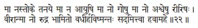 mā nastoke tanaye mā na āyuṣi mā no goṣu mā no aśveṣu rīriṣaḥ ǀ vīrānmā no - фото 393