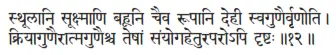 sthūlāni sūkṣmāṇi bahūni caiva rūpāni dehī svaguṇairvṛṇoti ǀ - фото 405