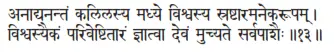 anādyanantaṁ kalilasya madhye viśvasya sraṣṭāramanekarūpam ǀ viśvasyaikaṁ - фото 406