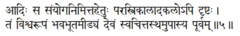 ādiḥ sa saṁyoganimittahetuḥ parastrikālādakalopi dṛṣṭaḥ ǀ taṁ viśvarūpaṁ - фото 412