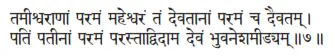 tamīśvarāṇāṁ paramaṁ maheśvaraṁ taṁ devatānāṁ paramaṁ ca daivatam ǀ patiṁ - фото 414