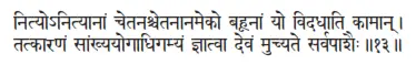 nityonityānāṁ cetanaścetanānameko bahūnāṁ yo vidadhāti kāmān ǀ tatkāraṇaṁ - фото 420