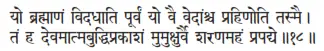 yo brahmāṇaṁ vidadhāti pūrvaṁ yo vai vedāṁśca prahiṇoti tasmai ǀ taṁ ha - фото 425