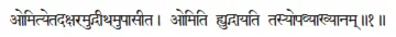 omityetadakṣaramudgīthamupāsīta ǀ omiti hyudgāyati tasyopavyākhyānam ǁ 1 - фото 431