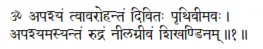 OM apaśyaṁ tvāvarohantaṁ divitaḥ pṛthivīmavaḥ ǀ apaśyamasyantaṁ rudraṁ - фото 475