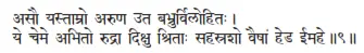 asau yastāmro aruṇa uta babhrurvilohitaḥ ǀ ye ceme abhito rudrā dikṣu śritāḥ - фото 483