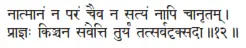 nātmānaṁ na paraṁ caiva na satyaṁ nāpi cānṛtam ǀ prājñaḥ kiñcana saṅvetti - фото 495