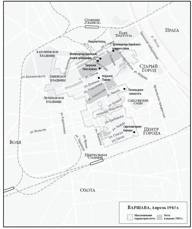 Члены Еврейского военного союза организации правого толка забрались на - фото 28