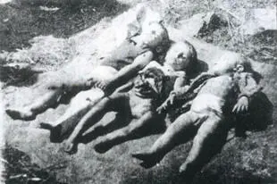 Луцкое воеводство 8 мая 1943 г На плане трое детей двое сыновей Петра Мекала - фото 156
