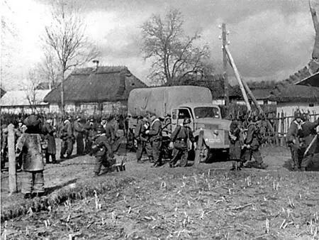 Дивизия СС Галичина одна из дивизий ВаффенСС нацистской Германии - фото 172