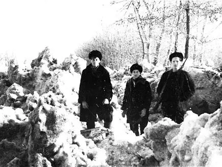 Юные партизаны Если в январе 1943 г в Белоруссии действовало 512 отрядов в - фото 469