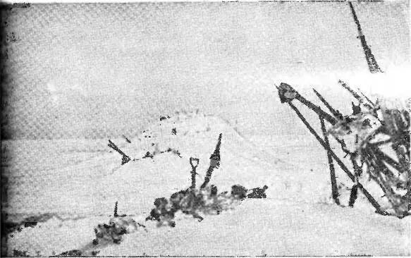 Рис 29 Ненецкое капище на северном Ямале с кучей рогов оленей и черепов белых - фото 30