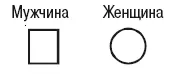 Даты рождения или смерти пишутся над обозначением человека возраст - фото 3