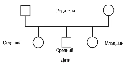 Пример обозначения некоторых характеристик семьи Кроме линий обозначающих - фото 6