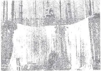 Дух Леса Спасибо принадлежащей Рону Симону чудесной фотографической - фото 18