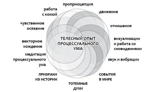 Радужная медицина Медицина альтернативные медицины диета упражнения - фото 48