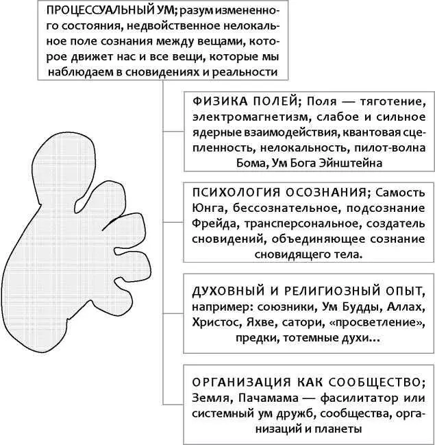 Пять ТОЕ образуют ступню процессуального ума Уровни осознания - фото 86
