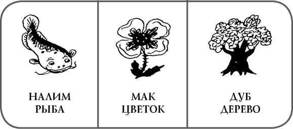 Задание 2Догадайтесь и объясните почему так говорят А Проще пареной репы - фото 18