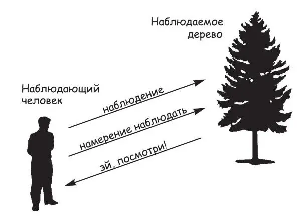 Рис 171 Процесс квантового заигрывания в НОР ведущий к наблюдению - фото 68
