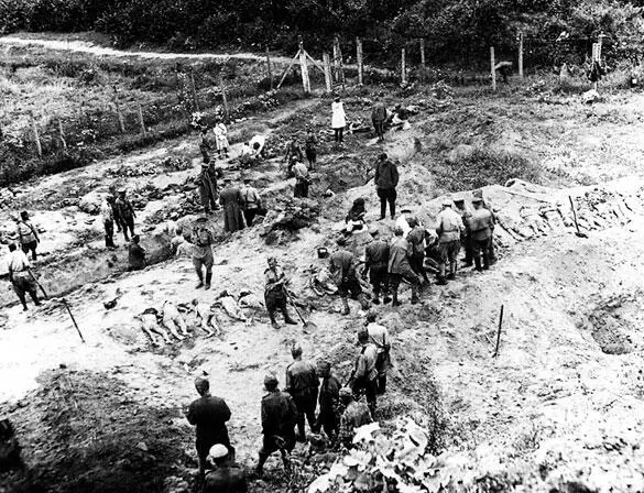 Работа советских экспертов ЧГК в местах массовых расстрелов Львов 1944 год - фото 243