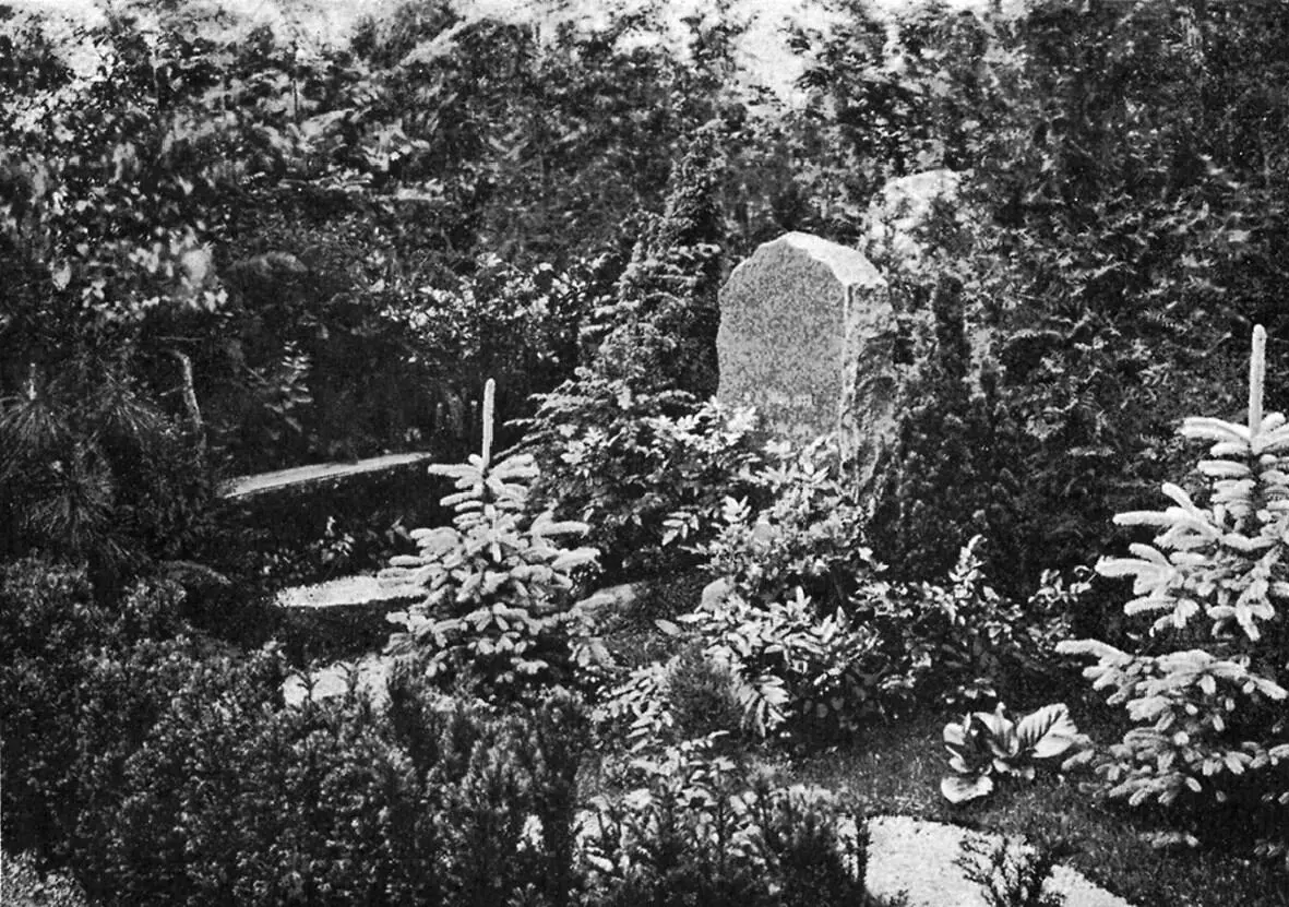 Рис 14 Типичная ухоженная и густо озелененная могила ок 1908 г - фото 4