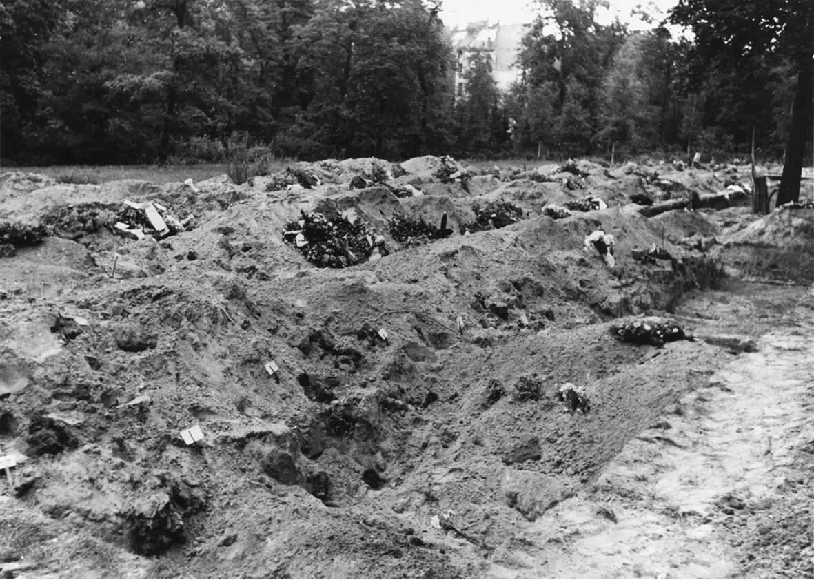 Рис 41 Общие могилы в Берлине 1945 г Заметим ктото украсил их венками и - фото 16