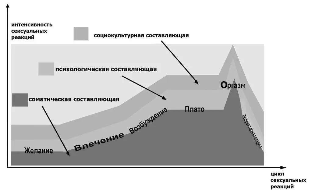 Рис4 Место влечения в цикле сексуальных реакций Вычленение сексуального - фото 4