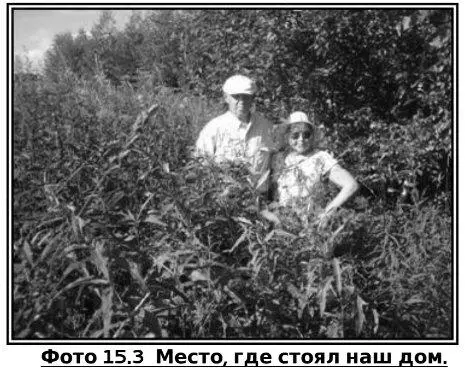 Как видите заросли выше головы Это следствие органики которая накапливалась - фото 35