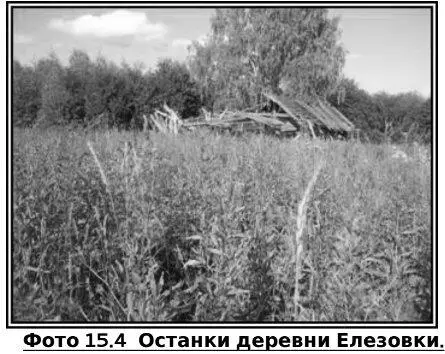 В местах где когдато колосилась рожь да ячмень или овес сейчас растет - фото 36