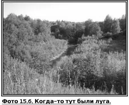 Эти луга в июле ежегодно выкашивали заготовляя на зиму сено для коров Никакой - фото 38