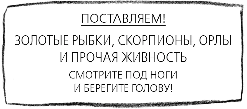 Чего ж ты не свистишь подначивает его человеккабан Стен молчит - фото 41