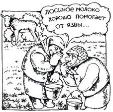 Поскольку речь пошла о перспективах использования продукции лосиных ферм в - фото 15