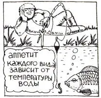 Карп рыба теплолюбивая уходящая корнями в субтропическую фауну Поэтому его - фото 33