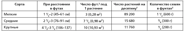 Наиболее удобное время для высадки капусты вторая половина мая пока еще не - фото 69