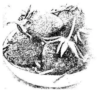 Рис 139 Крупноплодная земляника Ранний Джерсейский Гигант Early Jersey - фото 175